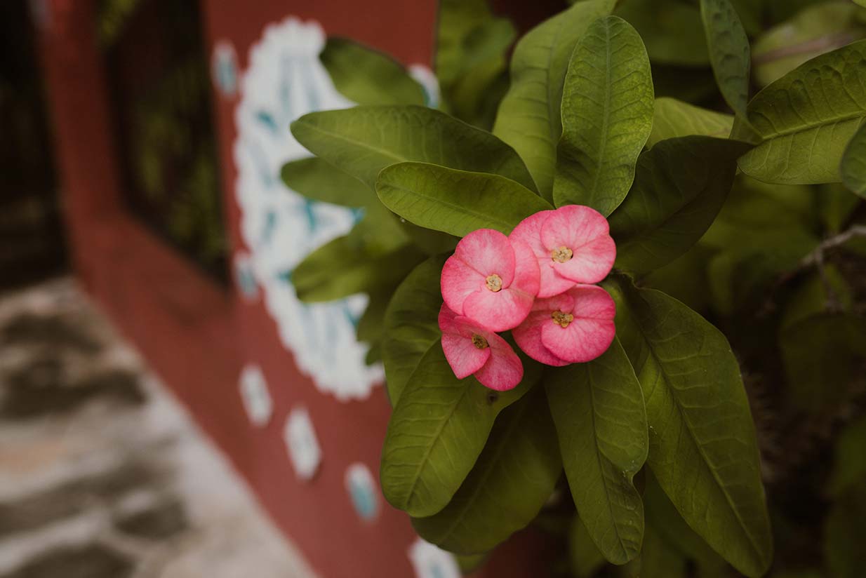 Boda-Nikky-y-Edgar-Hacienda-Kantoyna-004