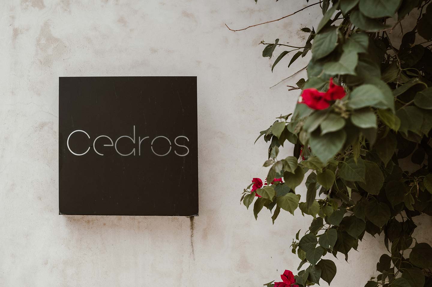 Rehearsal-Dinner-Katie-Alex-Casona-Los-Cedros-Espita-Yucatan-003